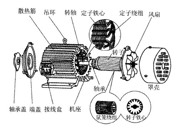 三相異步電動機的六種分類方法及具體分類。